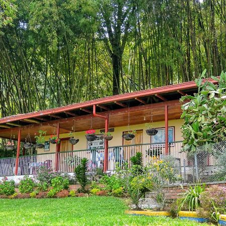 Finca Turística Los Rosales Pereira Exterior foto