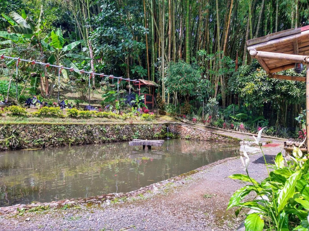 Finca Turística Los Rosales Pereira Exterior foto