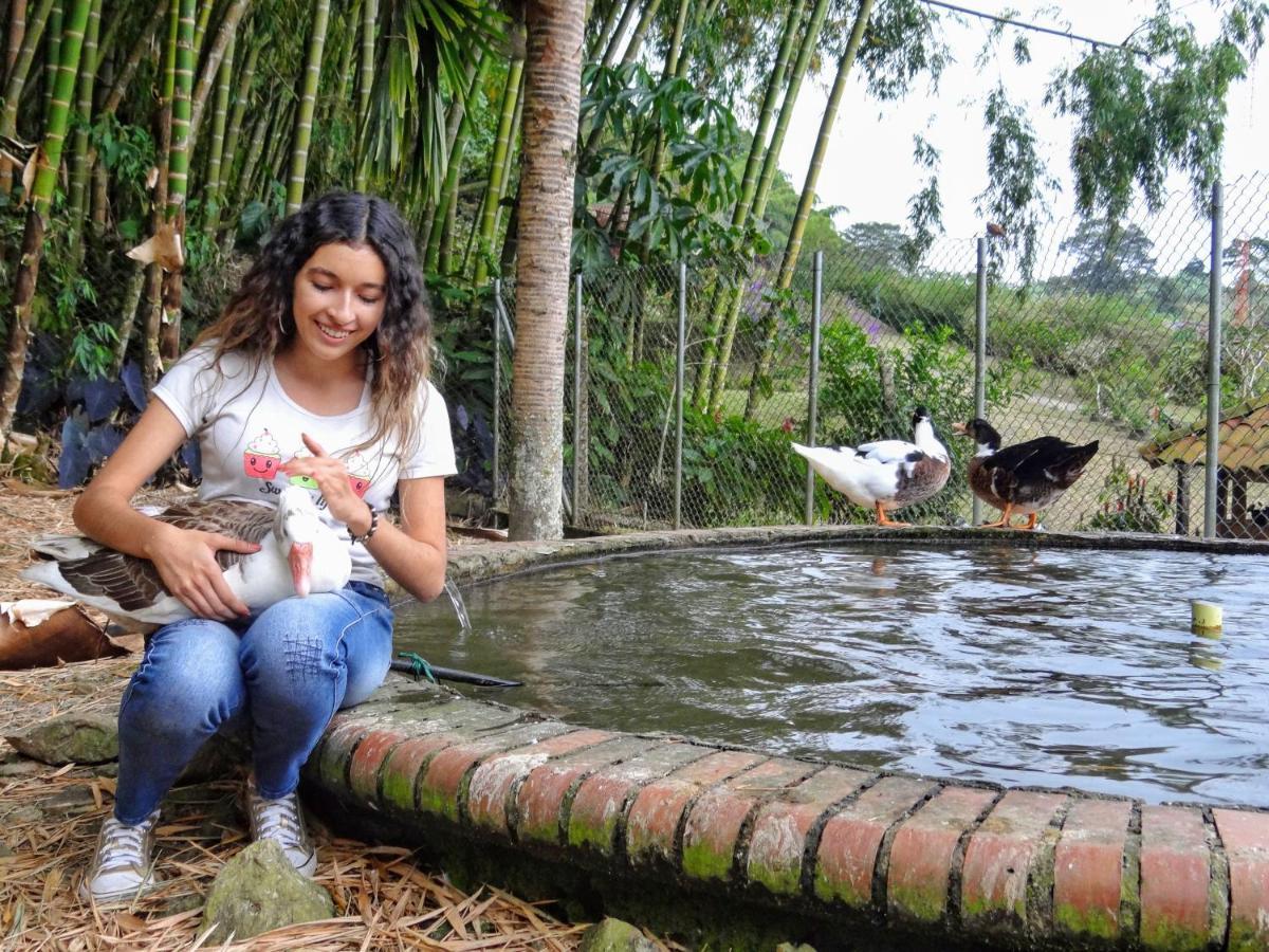 Finca Turística Los Rosales Pereira Exterior foto